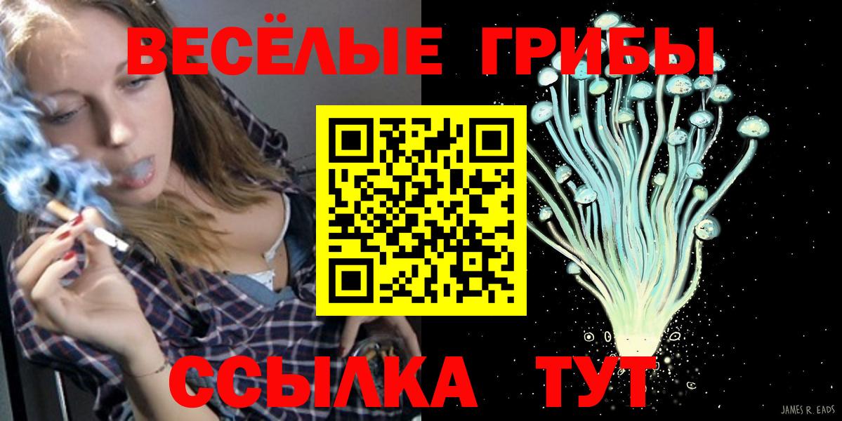 Псилоцибиновые грибы мицелий Балашиха